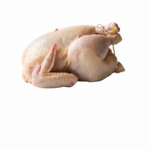 AYAM BROILER 0.9