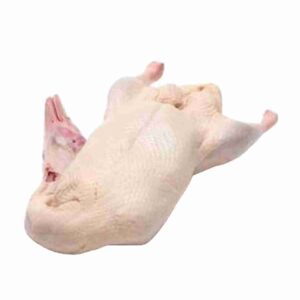 HBN BEBEK PEKING